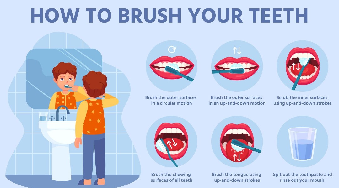 Brush for 2 Minutes, Twice a Day